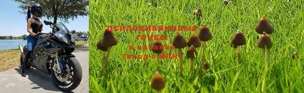ALPHA-PVP Чегем